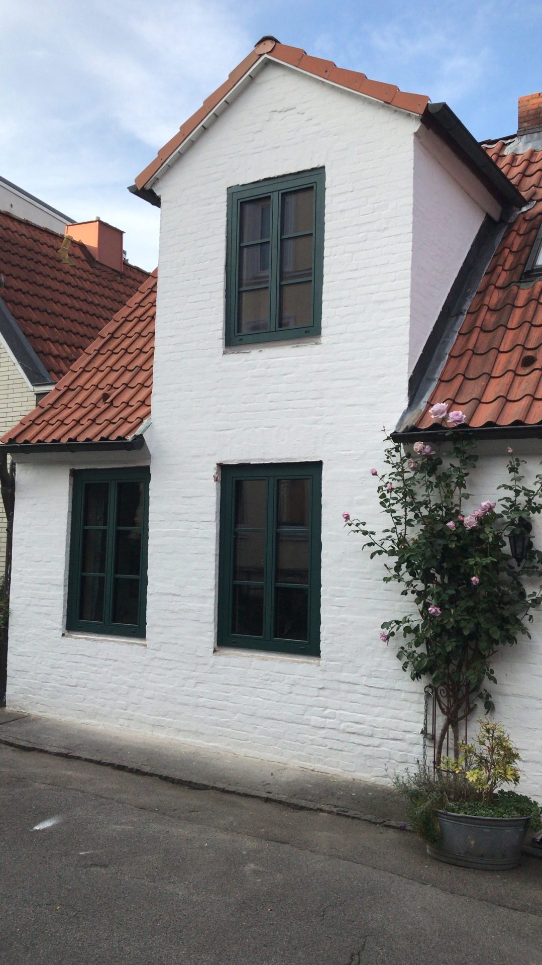 Holzalufenster-2