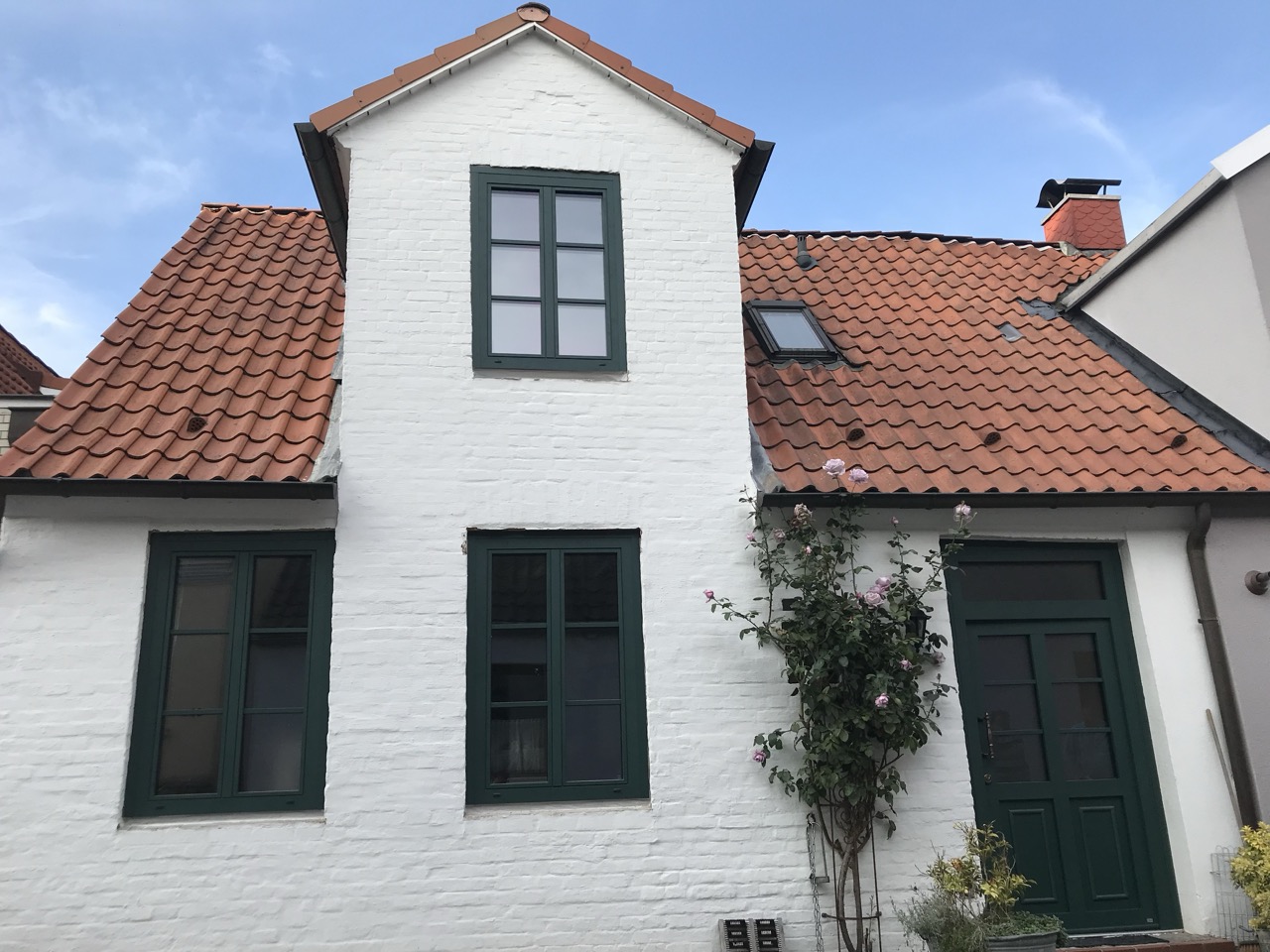 Haustür und Fenster-1